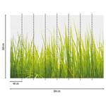Papier peint High Grass Intissé - Vert / Blanc - 3,84 x 2,6 cm - Largeur : 384 cm