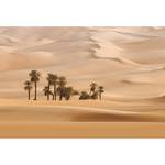 Fototapete Düne Wüste Landschaft Vlies - Beige - Breite: 3.8 cm