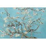 Fotomurale Van Gogh Almond Blossom Tessuto non tessuto - Blu / Grigio / Bianco - 3,84cm x 2,6cm