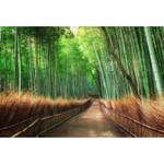 Papier peint Bamboo Grove Kyoto Intissé - Vert / Marron - 3,84 x 2,6 cm