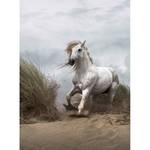 Papier peint White Wild Horse Intissé - 1,92 x 2,6 cm