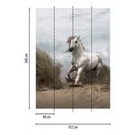 Papier peint White Wild Horse Intissé - 1,92 x 2,6 cm