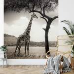 Fotobehang Giraffe Safari vlies - zwart / wit - 1,92cm x 2,6cm - Breedte: 1.9 cm