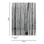 Fotobehang Birch Forest In The Water vlies - zwart / wit - 1,92cm x 2,6cm