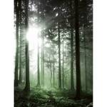 Fotobehang Sun Rays vlies - 1,92cm x 2,6cm