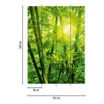 Papier peint Bambous Intissé - 1,92 x 2,6 cm