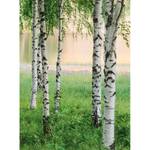 Fotomurale Alberi e acqua Tessuto non tessuto - Verde / Marrone / Bianco - 1,92cm x 2,6cm