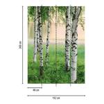 Papier peint Forêt de bouleaux Intissé - Vert / Blanc / Marron - 1,92 x 2,6 cm