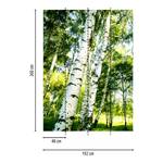 Fotomurale Sunshine Forest Wald Tessuto non tessuto - Verde / Marrone / Bianco - 1,92cm x 2,6cm