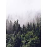 Fototapete Nebel Wald Vlies - Grün / Weiß