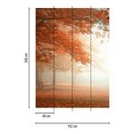 Fotobehang Bos Herfst vlies - 1,92cm x 2,6cm