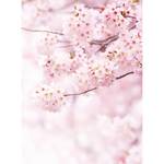 Fototapete Kirschblüte Baum Vlies - Weiß / Rosa