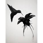 Fotomurale Colibrì Tessuto non tessuto - Nero / Bianco - 1,92cm x 2,6cm