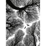 Fotomurale Rami e corvi Tessuto non tessuto - Nero / Bianco - 1,92cm x 2,6cm