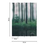 Papier peint In the Woods Intissé - Vert / Gris - 1,92 x 2,6 cm