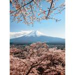 Papier peint Mount Fuji Intissé - Bleu / Blanc / Rose - 1,92 x 2,6 cm