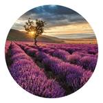 Fototapete Lavendelfeld Vlies - Mehrfarbig