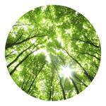 Papier peint Sunny Forest Intissé - Vert / Blanc - 1,4 x 1,4 cm