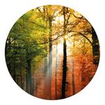 Fotomurale Foresta in autunno Tessuto non tessuto -  1,4cm x 1,4cm