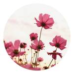 Fototapet Blumen Mohnblumen Vlies - Pink / Beige