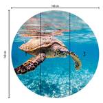 Fotobehang Turtle on Travel vlies - bruin / blauw - 1,4cm x 1,4cm