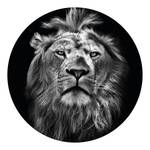 Fotobehang Lion vlies - zwart / wit - 1,4cm x 1,4cm