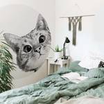 Fotobehang Sneaky Cat vlies - zwart / wit - 1,4cm x 1,4cm