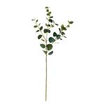 Eukalyptus Zweig FLORISTA Polyester PVC - Dunkelgrün