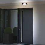 Illuminazione da esterno a LED Runa Polietilene / Acciaio - 1 punto luce - Nero