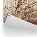 Outdoor-poster Gras PVC - beige