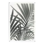 Affiche extérieur Feuilles de palmier PVC - Vert