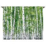 Rideaux Bouleaux (lot de 2) Polyester - Vert / Blanc - 140 x 245 cm