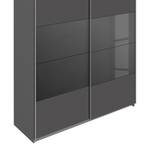 Armoire Meppel Gris brillant / Gris mat