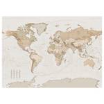 Papier peint Earth Map Intissé - Marron / Blanc