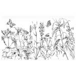 Vlies-fotobehang Butterfly Field vlies - zwart/wit