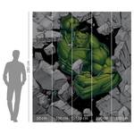 Fotobehang Hulk Breaker vlies - groen/zwart