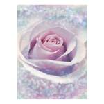 Fotobehang Delicate Rose vlies - blauw/roze