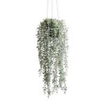 Plante artificielle FLORISTA XL Polyester / Fer - Vert clair