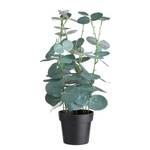 Kunstpflanze FLORISTA Eukalyptus Polyester - Natur