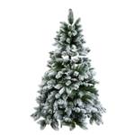 Weihnachtsbaum TREE OF THE MONTH Höhe: 210 cm