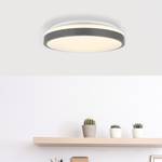 LED-plafondlamp Minto acrylglas / ijzer - 1 lichtbron
