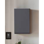 Armoire suspendue Roccolo Gris mat - Largeur : 40 cm