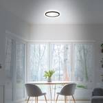 LED-badkamerlamp Slim Drip I acrylglas - 1 lichtbron