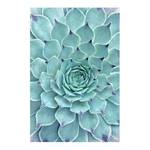 Vinylteppich Kaktus Agave Vinyl / Polyester - 100 x 150 cm