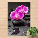 Vinylteppich Orchideenblüten auf Steinen Vinyl / Polyester - 100 x 150 cm