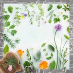Vinylteppich Kräuter und Blüten Vinyl / Polyester - 40 x 40 cm