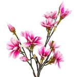 Pianta artificiale Magnolia Polietilene - Nero / Rosa
