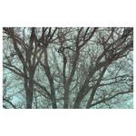Vlies Fototapete Whispering Woods Vlies - Schwarz / Blau - 400 x 250 cm