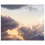 Fotomurale Cloud Cast Tessuto non tessuto - Multicolore - 300 x 250 cm