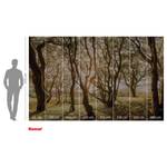 Fotomurale Bold Birch Tessuto non tessuto - Marrone / Bianco / Giallo - 400 x 250 cm